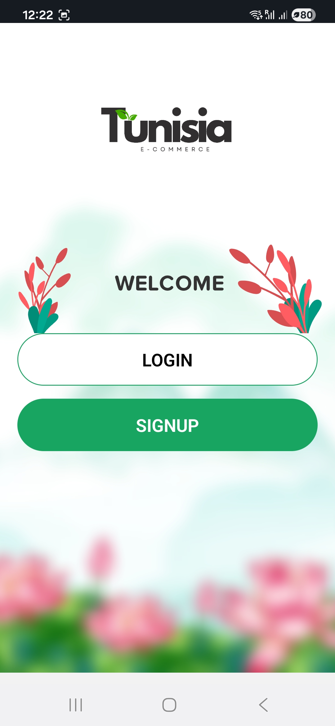 Tunisia Green E-Commerce